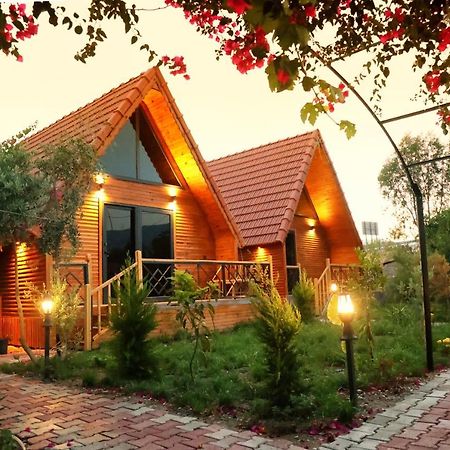 Begonvil Bungalow Apart Demre 1 Esterno foto